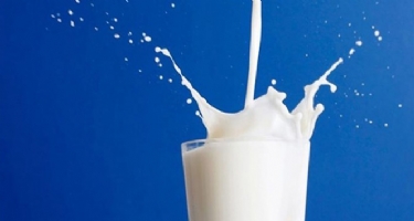 Sıcak hava süt verimliliğini ve kaliteyi düşürüyor